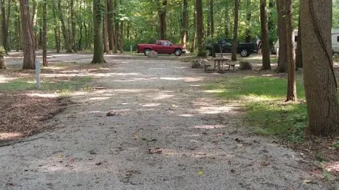 Electric Campsite — image 2 of 28