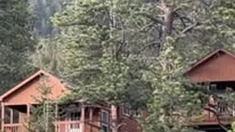 Yogi Bear™ Lookout — image 9 of 9
