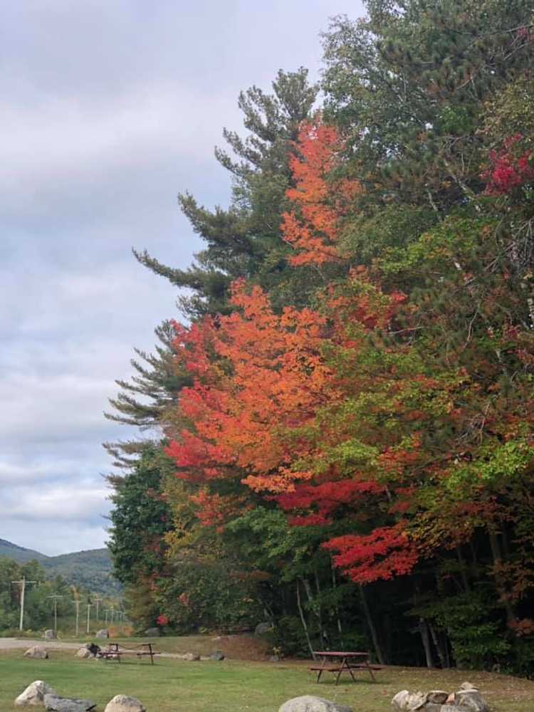White Birches Camping Park - Photo 2