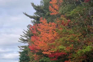 White Birches Camping Park – photo 2