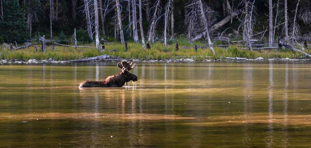 Yellowstone Adventure RV, Island Park, Idaho - Photo 3