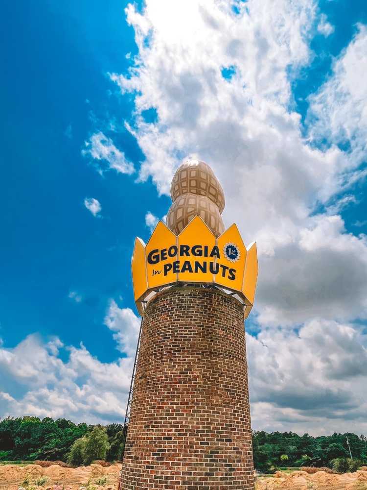 Georgia Peanut RV Park, Ashburn, Georgia - Photo 2