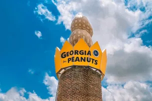 Georgia Peanut RV Park – photo 2
