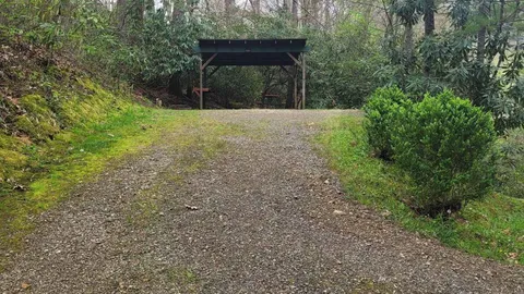 Wooded Sheltered Tent Site W/E — image 2 of 3