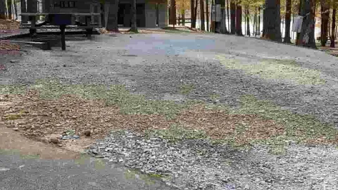 30 AMP Broad River Interior Campsite — image 2 of 5