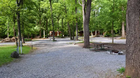 Woodland Premium Pull-Thru RV Site — image 6 of 6