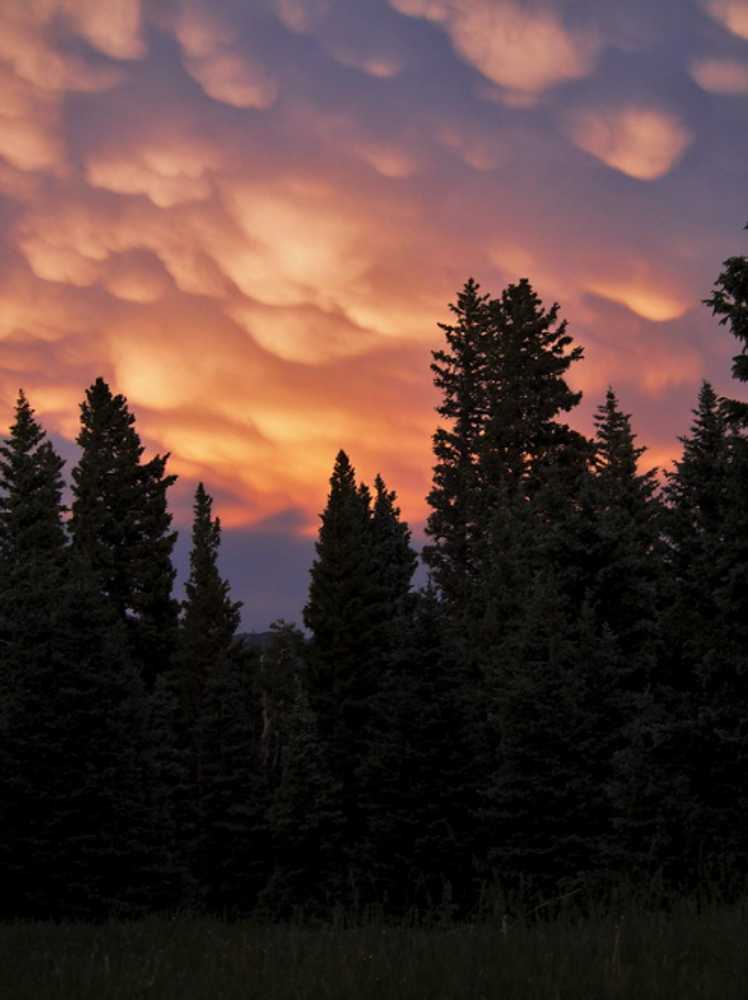 Philmont Scout Ranch (Affiliation Required) - Photo 2