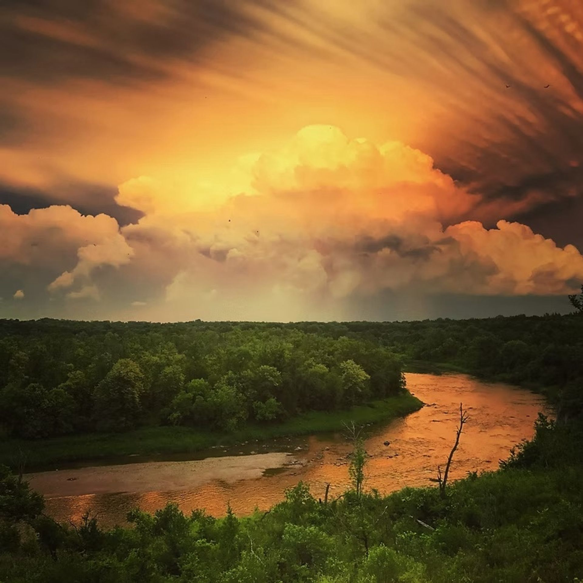 Voyageur's View