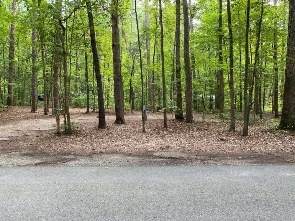 Primitive Site