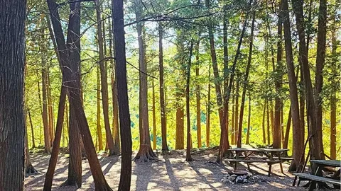 Campsite - Unserviced — image 1 of 4
