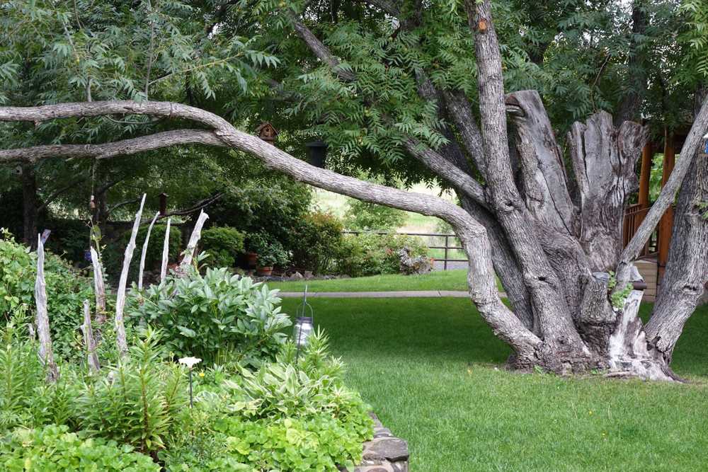 Bear Paw RV Resort (Age Restricted 55+) - Main Photo
