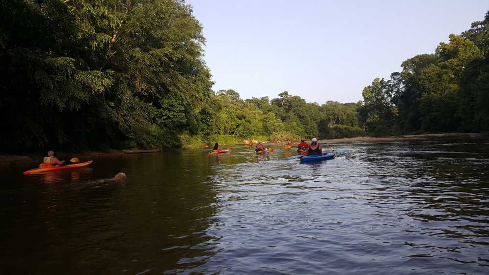 Park Image 8