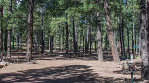 Water & Sewer RV Site — image 3 of 3