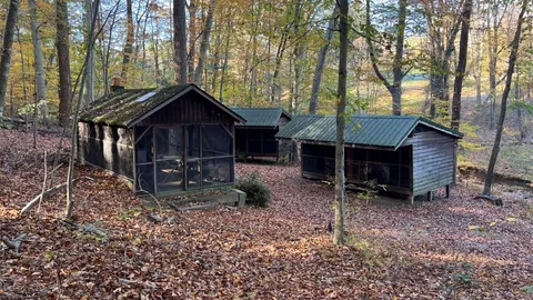 Overnight Frog Hollow — image 1 of 12