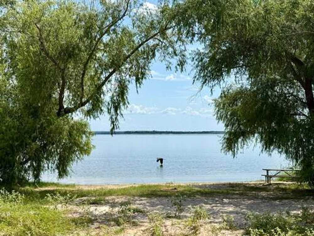 Big Creek Marina and Campground, Somerville, Texas - Photo 3