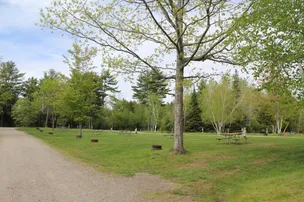 Yogi Bear's Jellystone Park™ Camp-Resort: Kingston – photo 5