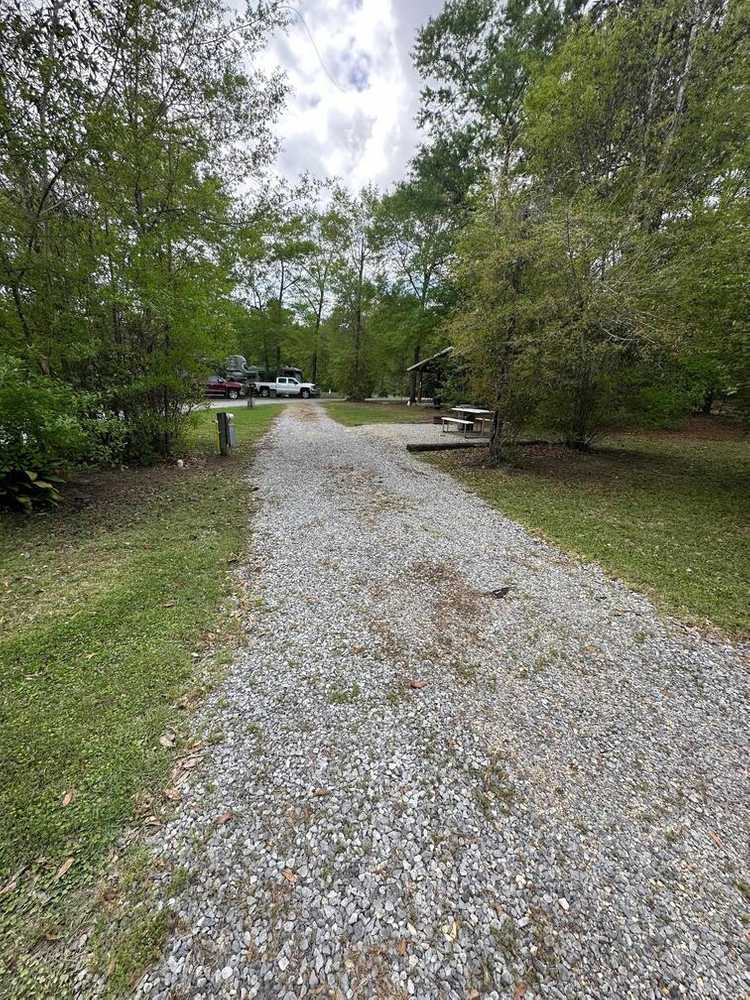 Magnolia Sands RV Park, Wiggins, Mississippi - Main Photo