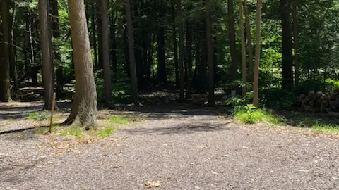 30/50 Amp RV Site — image 4 of 4