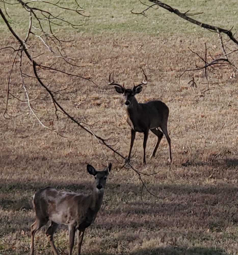 Park Image 11