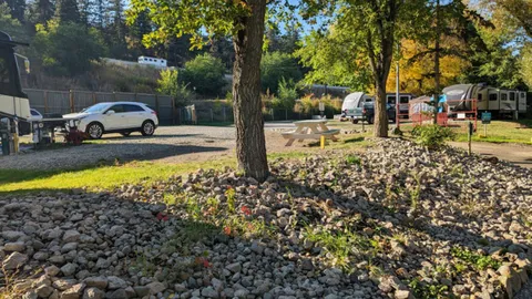 Back-in Deluxe 50 AMP RV Site — image 1 of 3