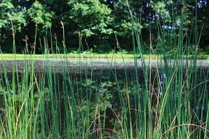 Birchview Farm Campground – photo 5