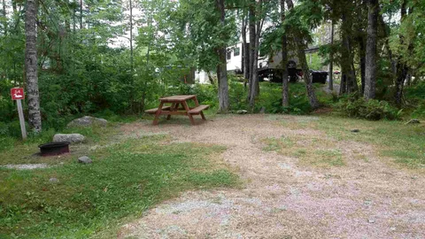 Tent, Deluxe Wooded, W&E — image 1 of 1