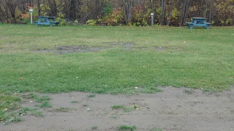 DELUXE NON POWER SITE - BALL DIAMONDS — image 3 of 3