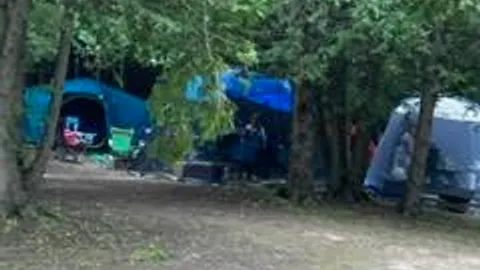 Tree covered rustic tent site — image 2 of 7