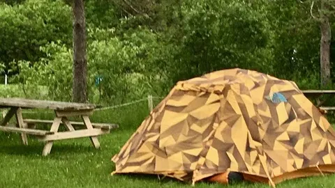 Tent site — image 1 of 1