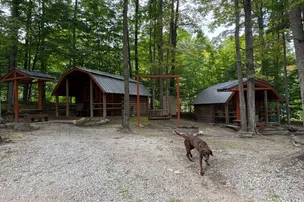 Cadillac Woods Campground – photo 3