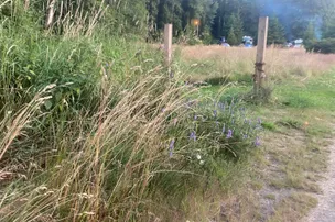 Puntledge RV Campground – photo 4