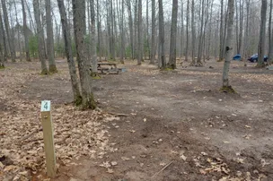 Forestville Campground – photo 5