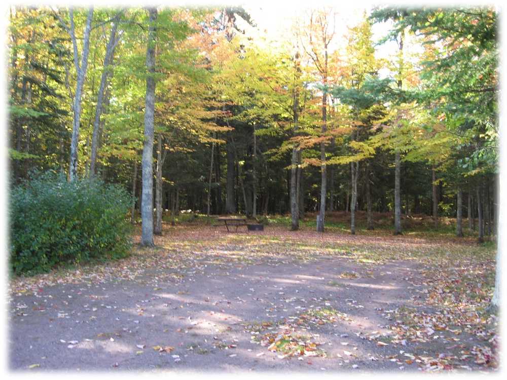 Wooded Waterview Site