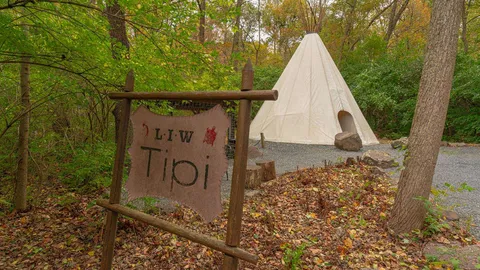 TIPI — image 2 of 11