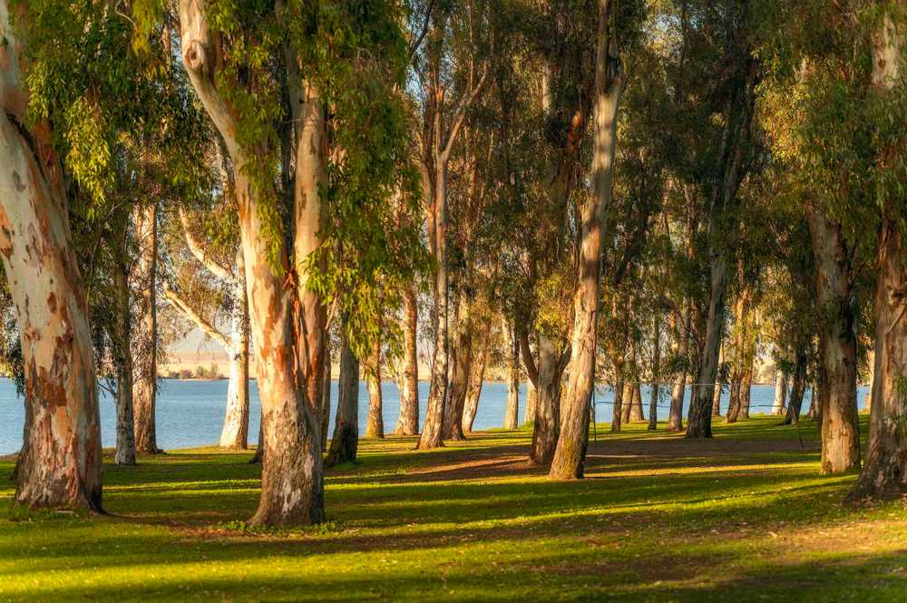 Lake Yosemite Campground and Recreation Area, Merced, California - Photo 3
