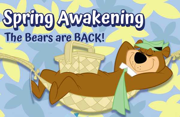 Spring Awakening: The Bears Are Back!