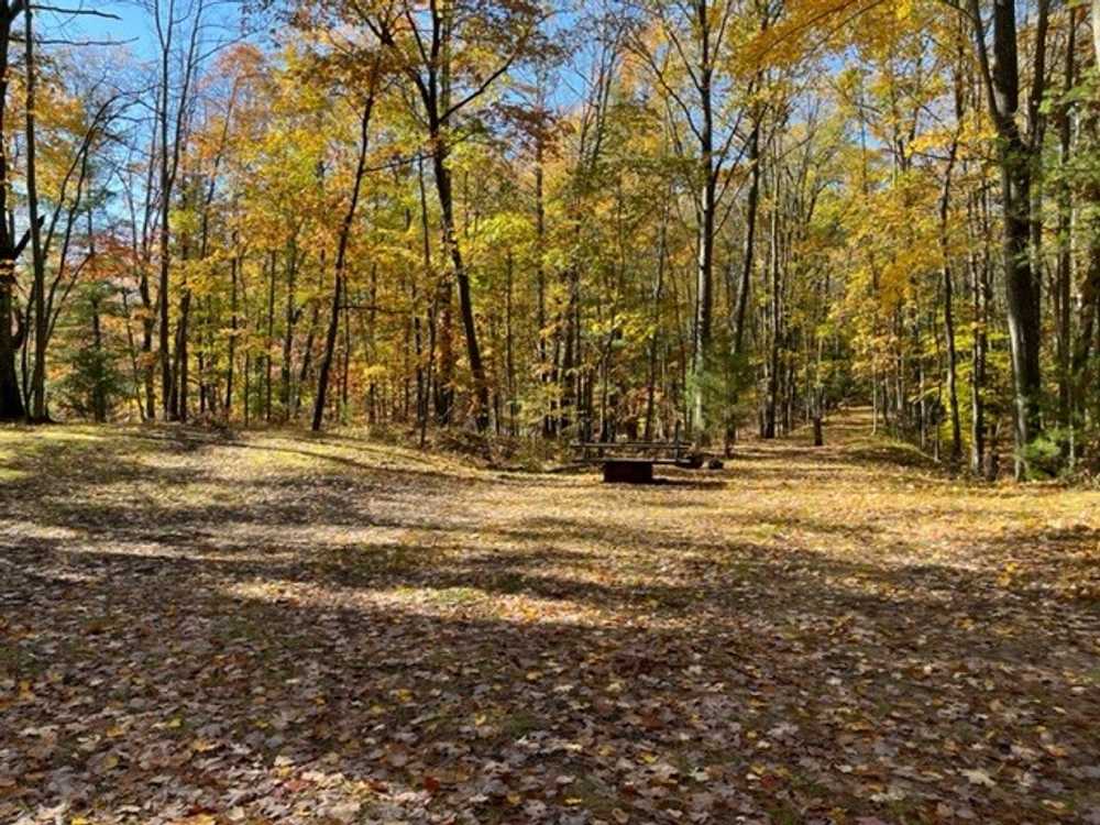 Crooked Lake Campground - Photo 5
