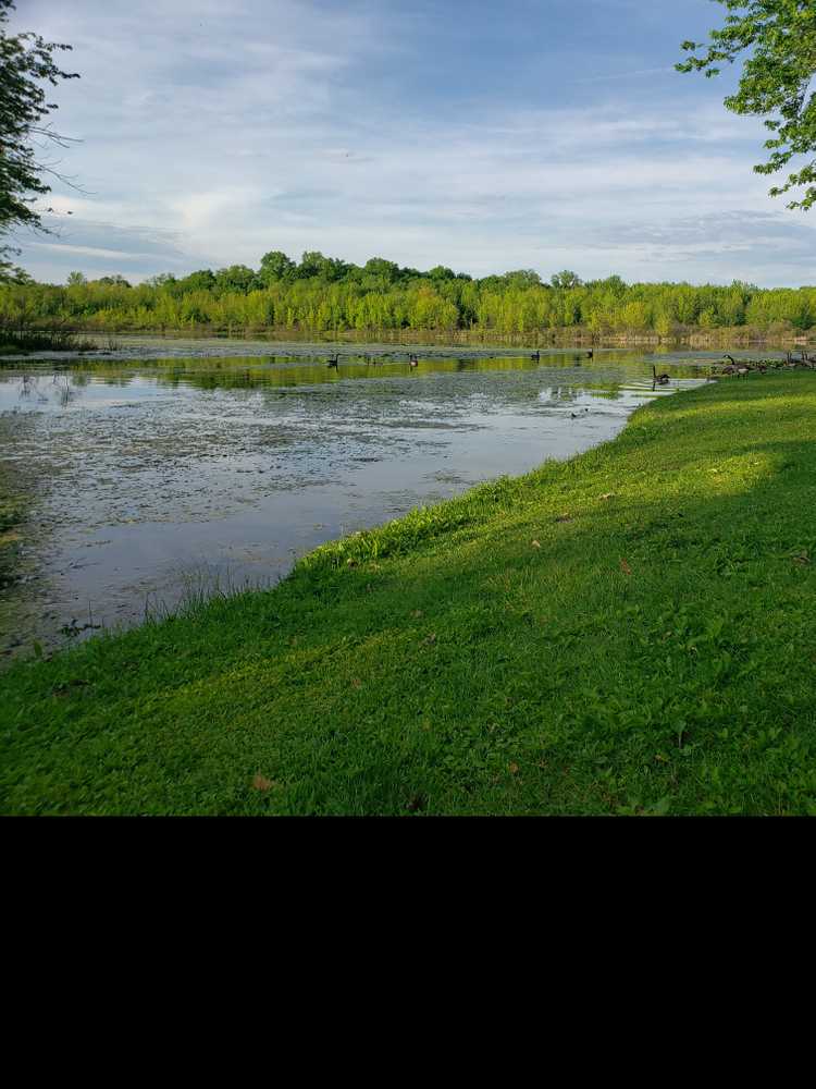 Fish Lake Family Resort, Fremont, Indiana - Photo 5