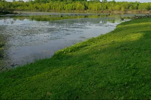 Fish Lake Family Resort – photo 5
