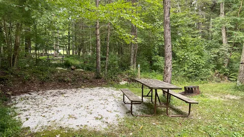 Walk-To Tent Site — image 1 of 8