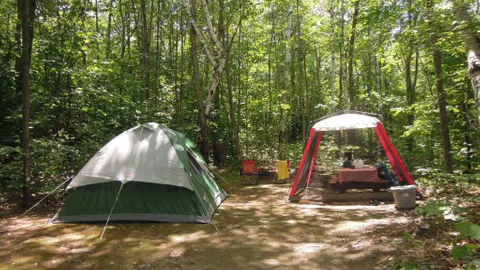 Primitive Tent Sites — image 5 of 5