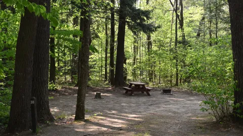 Dry Camping Wooded Site — image 2 of 3