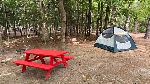 Premium Tent or Compact Camper Site 30 Amp — image 1 of 1