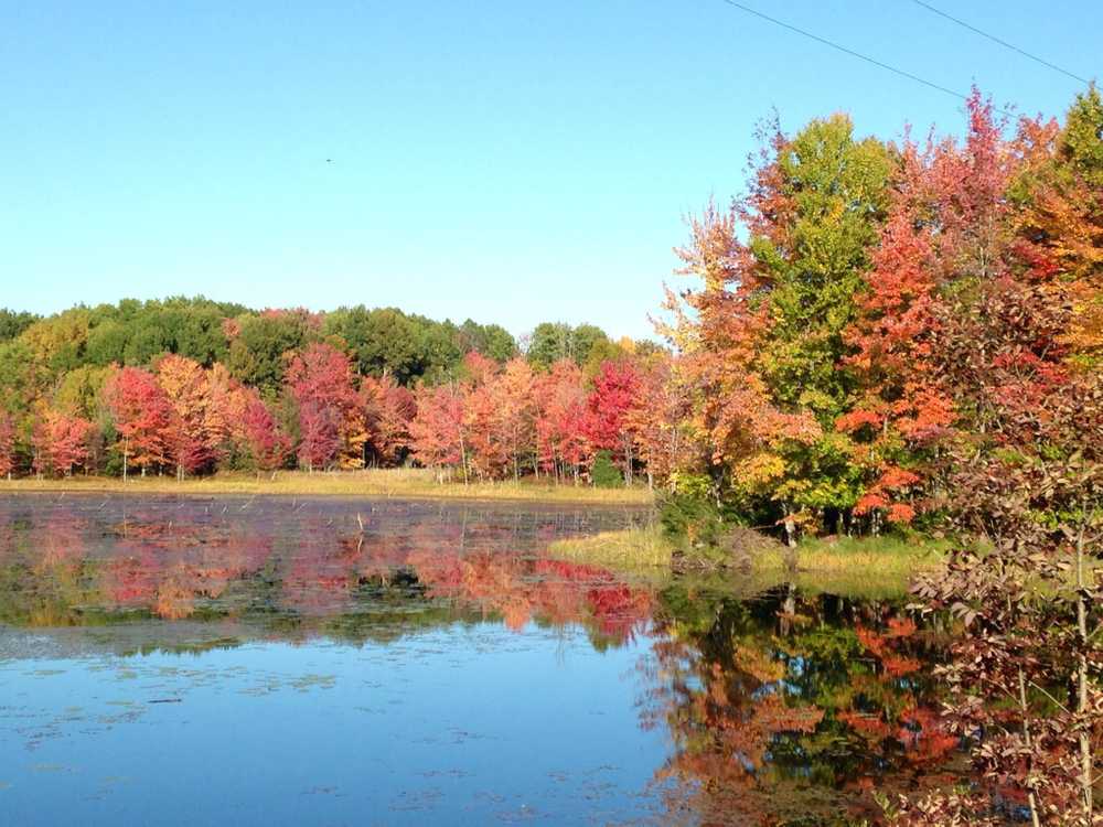 Coolwater Campground - Photo 2