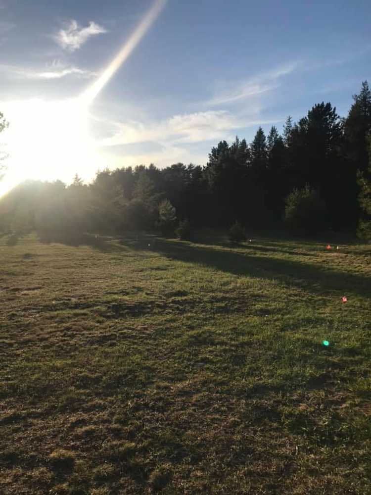 Plum Pines RV Park & Campground - Photo 3