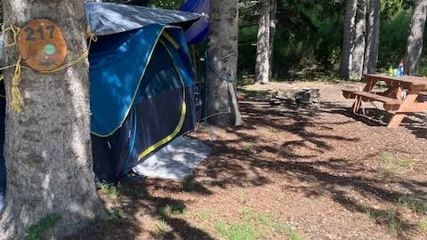 Standard RV Stall (Treed) — image 2 of 3