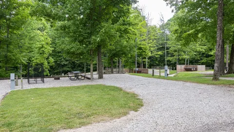 Bark n Roll RV Site — image 1 of 5