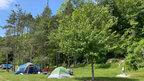 Electric Tent Site (800's) — image 2 of 6
