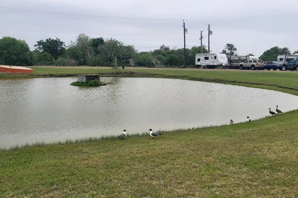 Coastal Cowboy RV Park Aransas Pass – photo 1