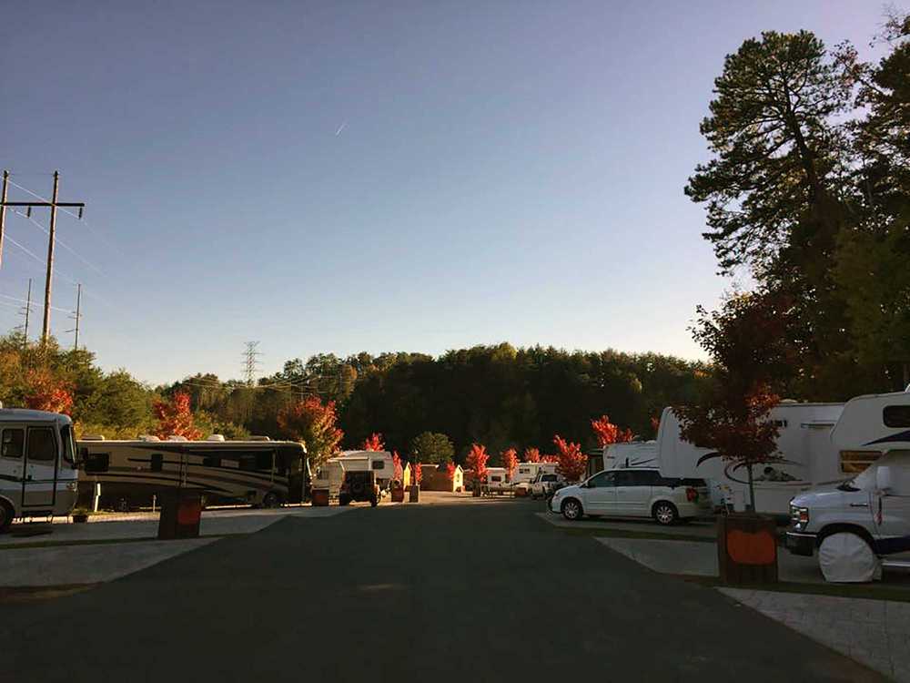 Park Image 8